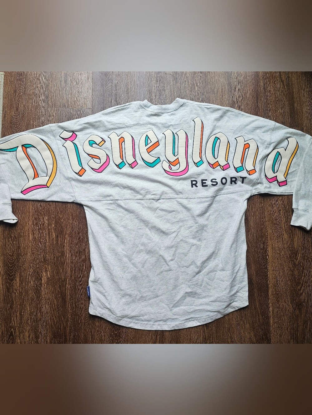 Disney Spirit Jersey Disneyland Resort Gray Puff Print Long Sleeve Shirt S